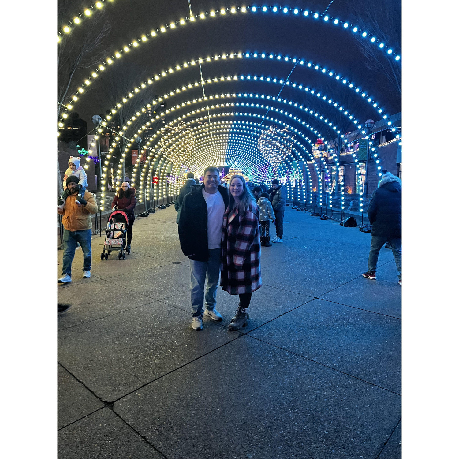 Brookfield Zoo Lights!
