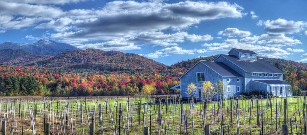 The Wedding Website of Patty Shenk and Brian Greco