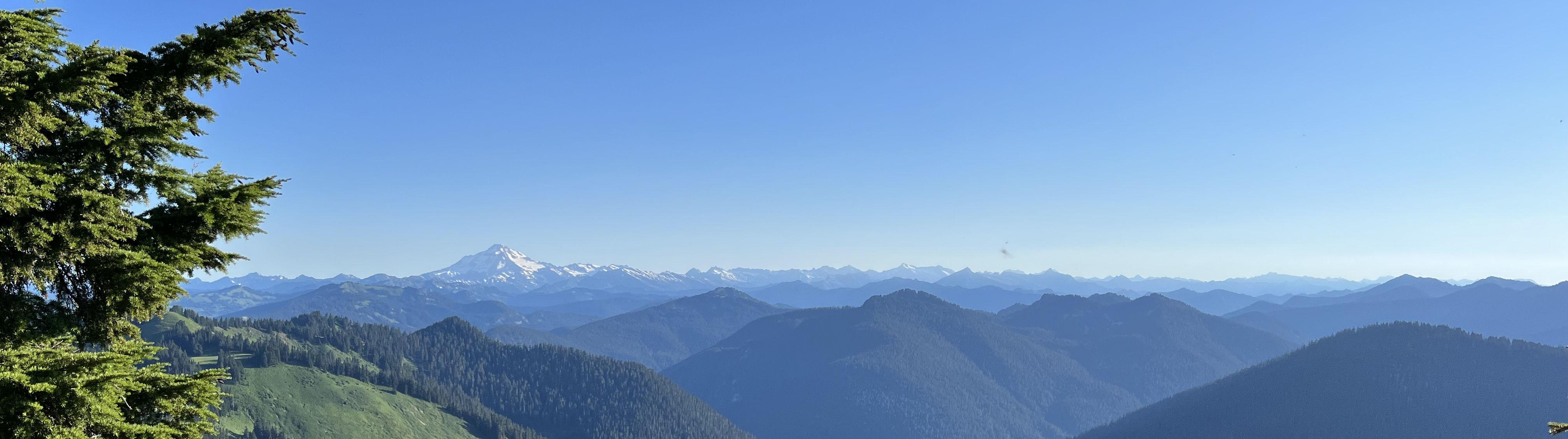 01aa17f7-bb06-4ae0-984c-cffd5f753667