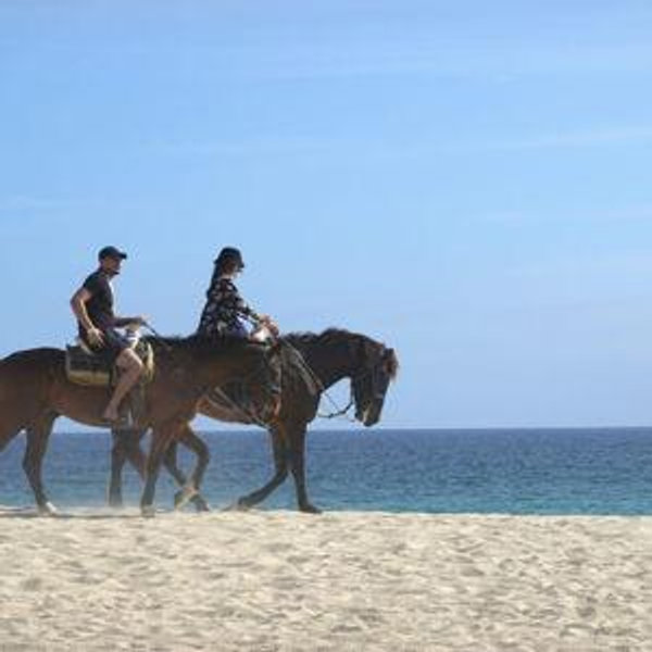 Horseback Riding on the Beach on Honeymoon