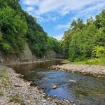 Vermilion River Reservation: Mill Hollow