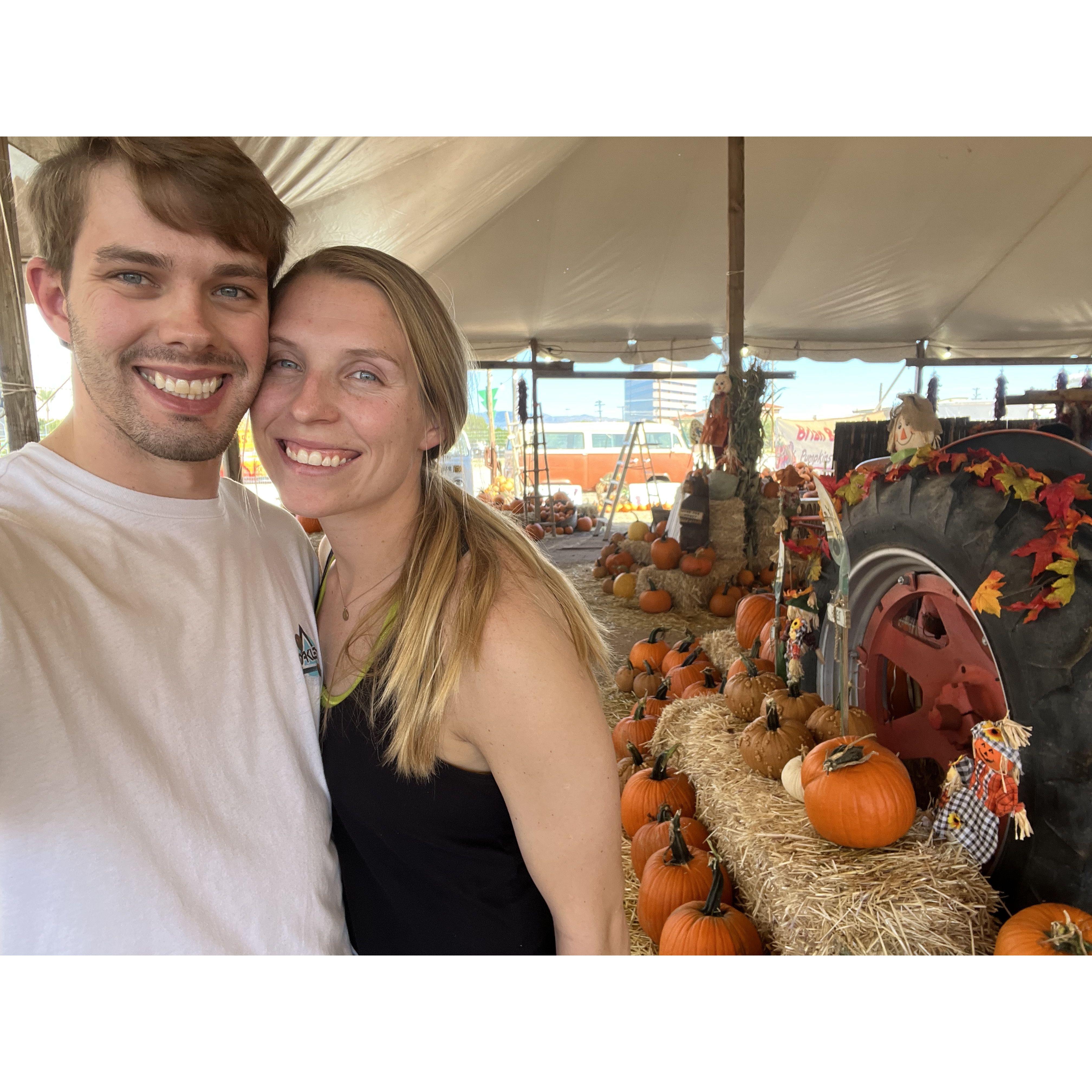 Pumpkin Tent in Arizona