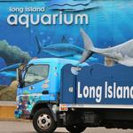 Long Island Aquarium