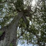 Eco-Adventure & Nature