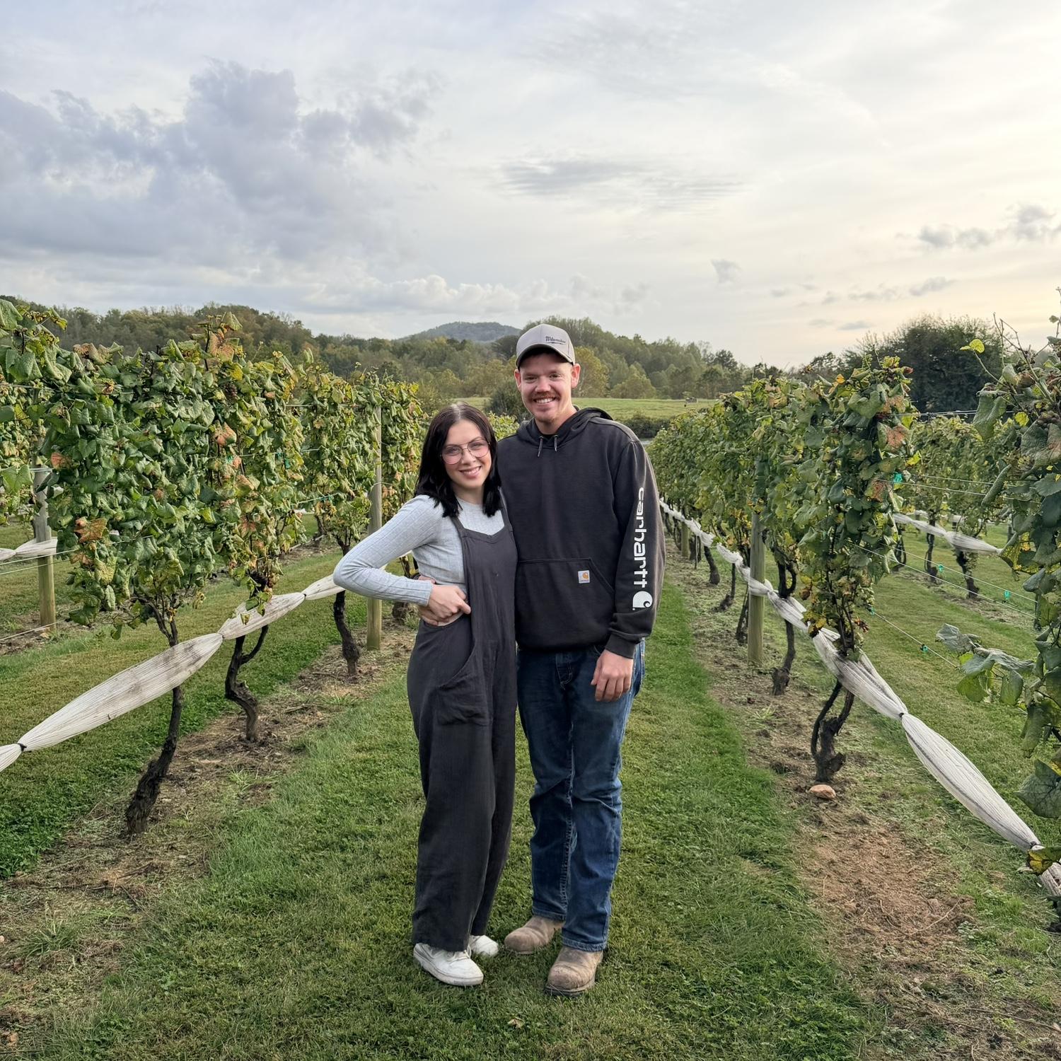Winery in Virginia-2025
