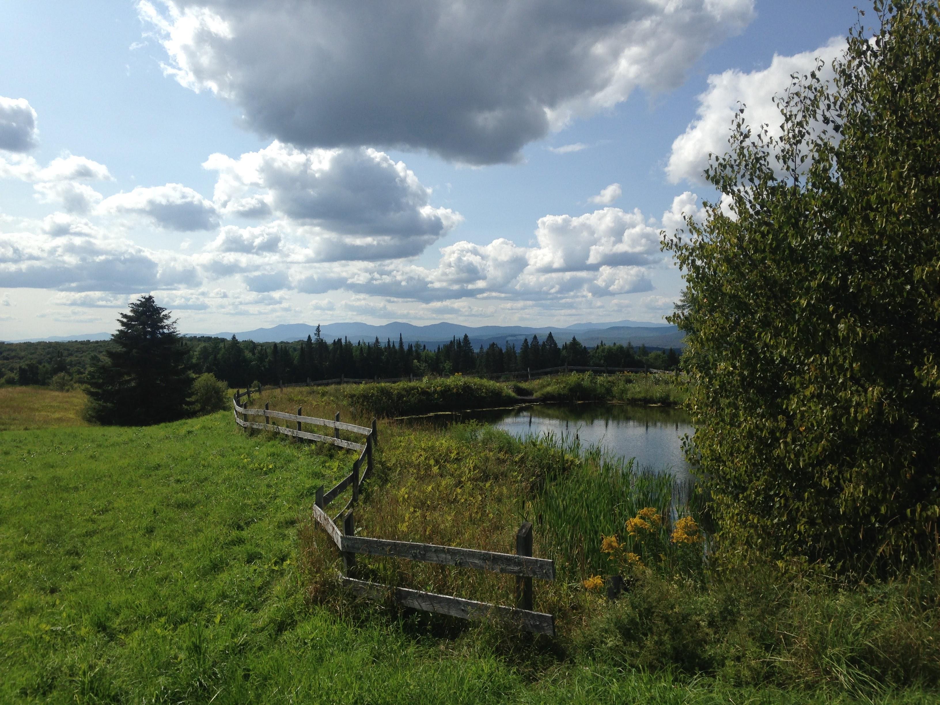 The Wedding Website of Julia Gulka and Edward Jenkins