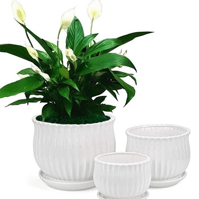 Yesland Ceramic Flower Plant Pots with Saucer, Set of 3 in Different Sizes, Modern Round Ceramic Succulent Planter Pots with White Stripe Texture for Garden