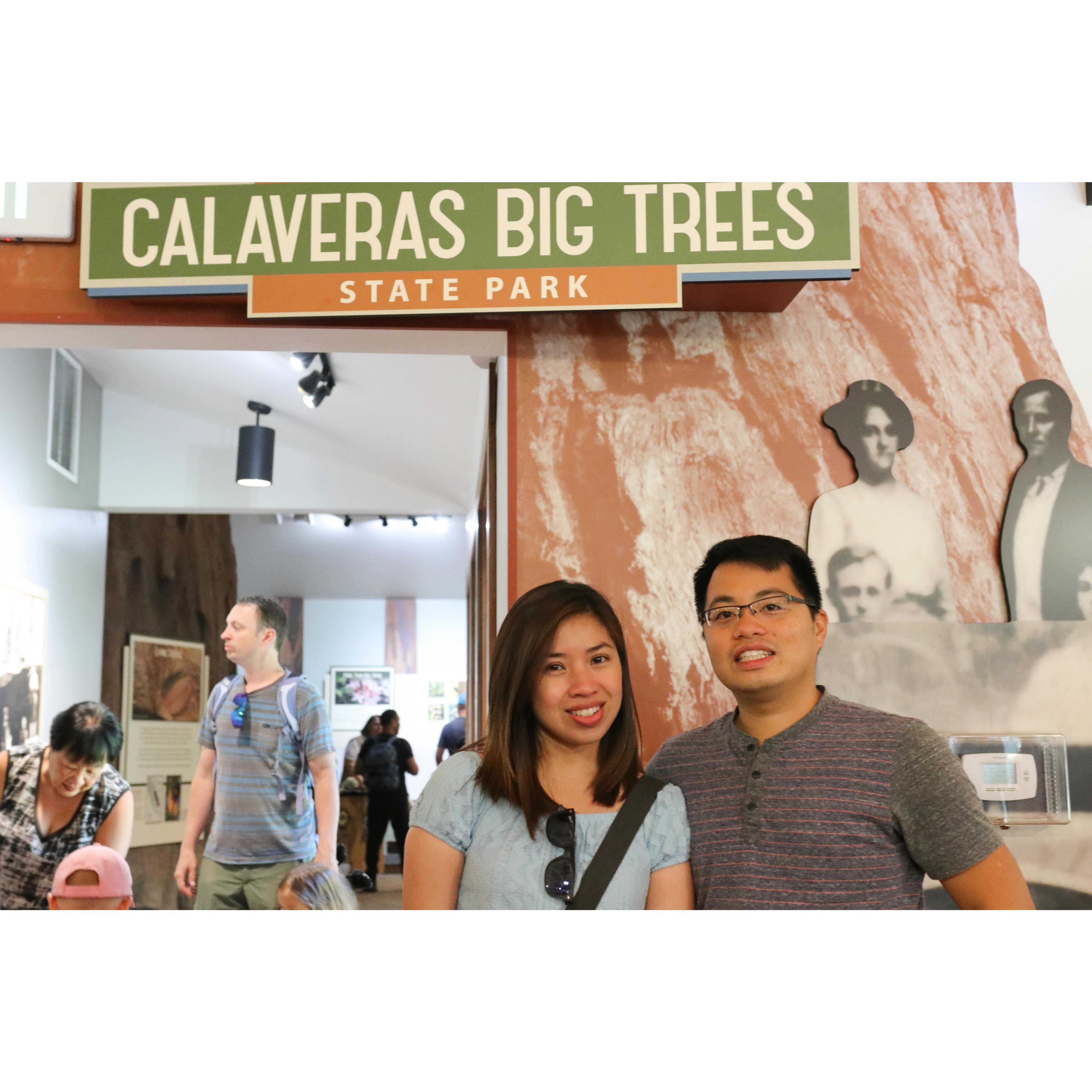 Calaveras Big Tree State Park. The land of giant Sequioa's.