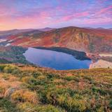 Wicklow Mountains National Park