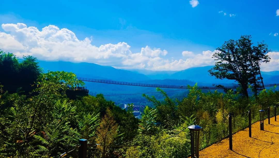 The Wedding Website of Christina Hamman and Tristan Love