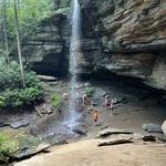 Moore Cove Falls Trail