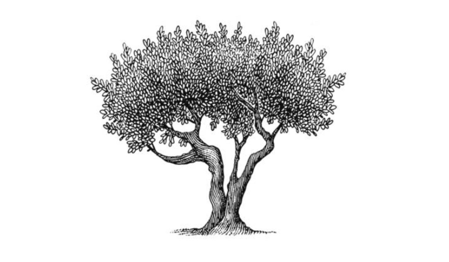 Footer image