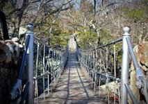 Rock City