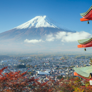 Guided Tour in Japan
