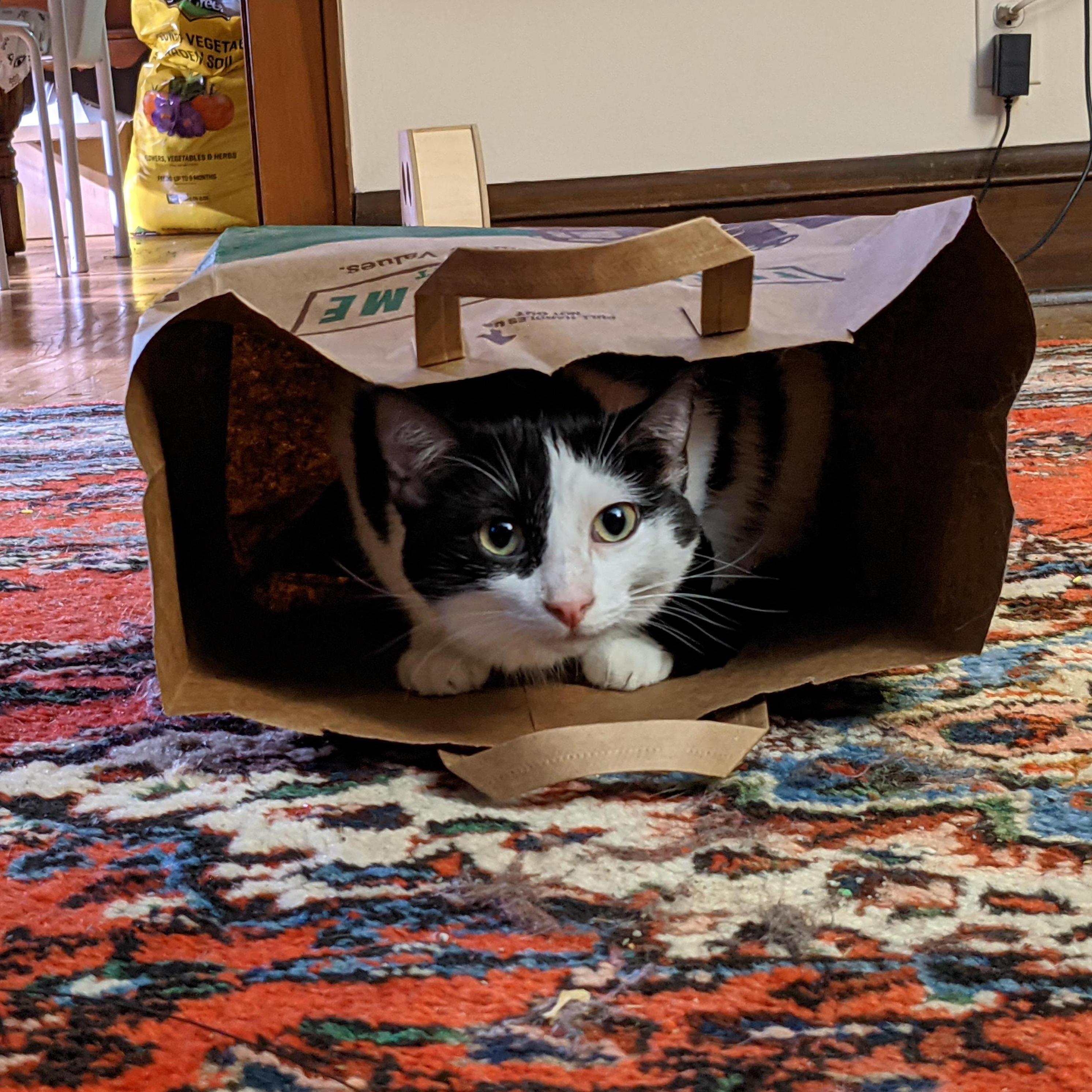 Agnes being her preciously weird self