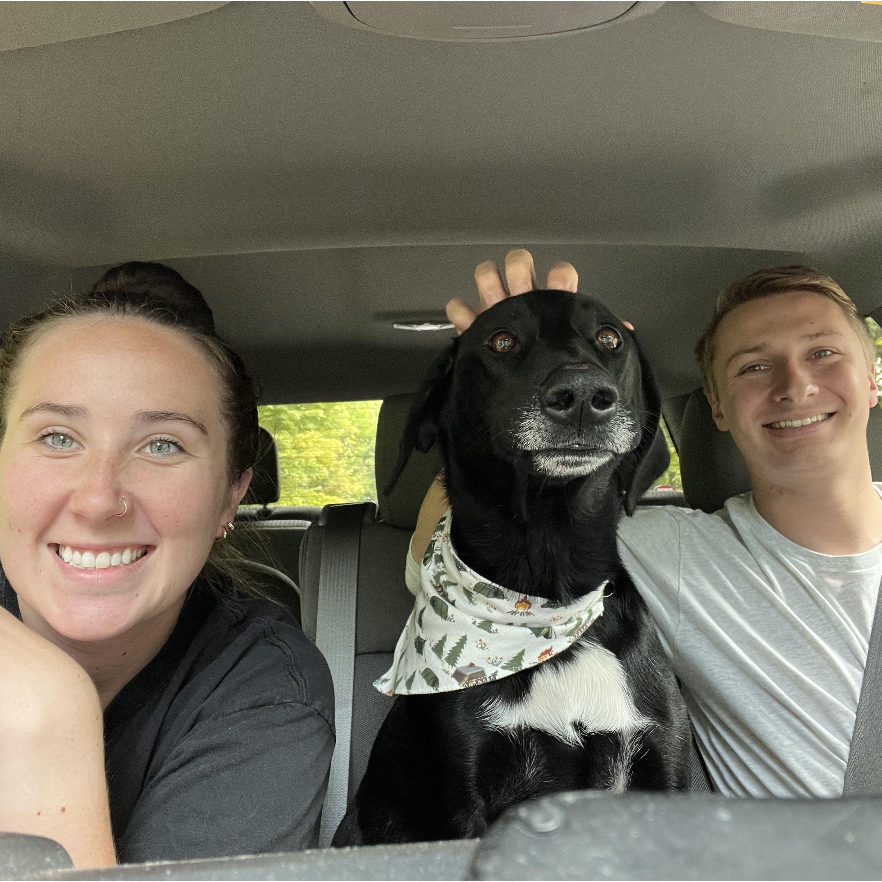 Excited pup for a weekend at the cabin