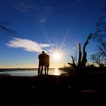 Bolsa Chica Wetlands Hikes