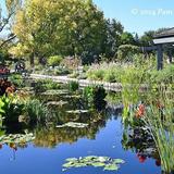 Denver Botanic Gardens