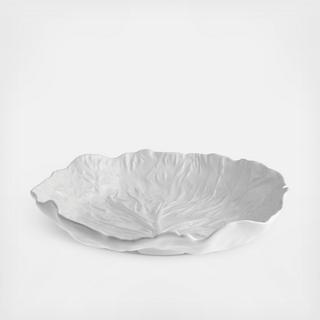 Cabbage Salad Bowl