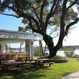 Jimmy Hula's Saint Augustine