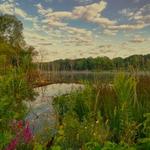 Lake Forest Open Lands Association
