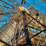 Scheels