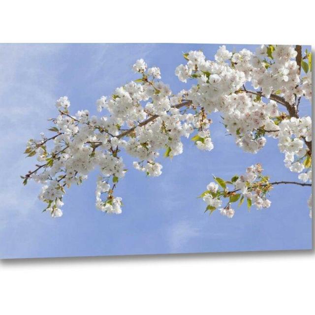 Washington, Seabeck Cherry Blossoms by Don Paulson - Photograph on Canvas