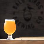 Bald Birds Brewing Company