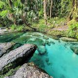 Kelly Park - Rock Springs
