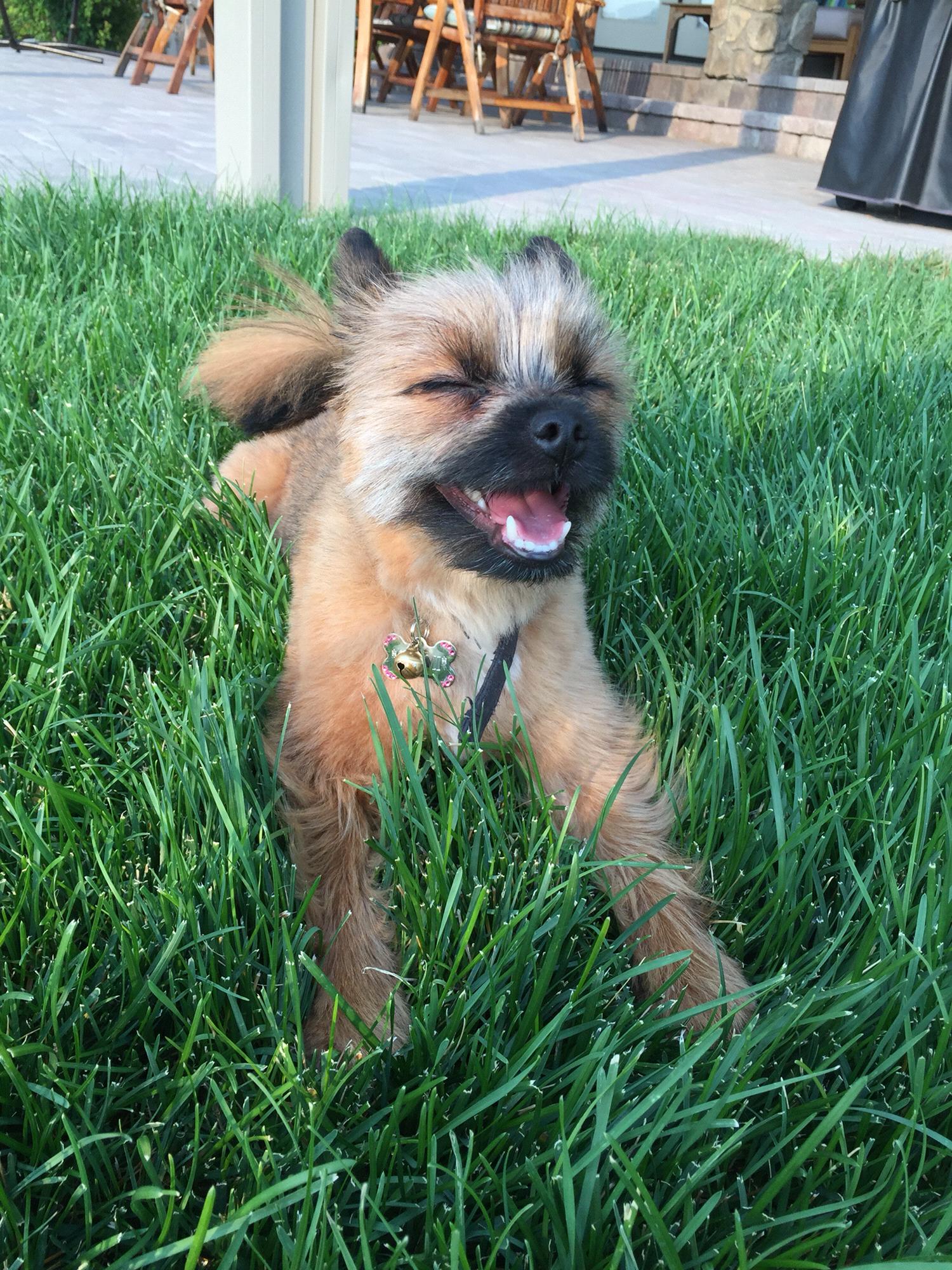 Happy Dog 
Happy Mom
Happy Life

#Sammilicious