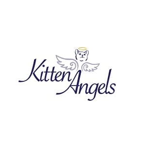 Donate to Kitten Angels