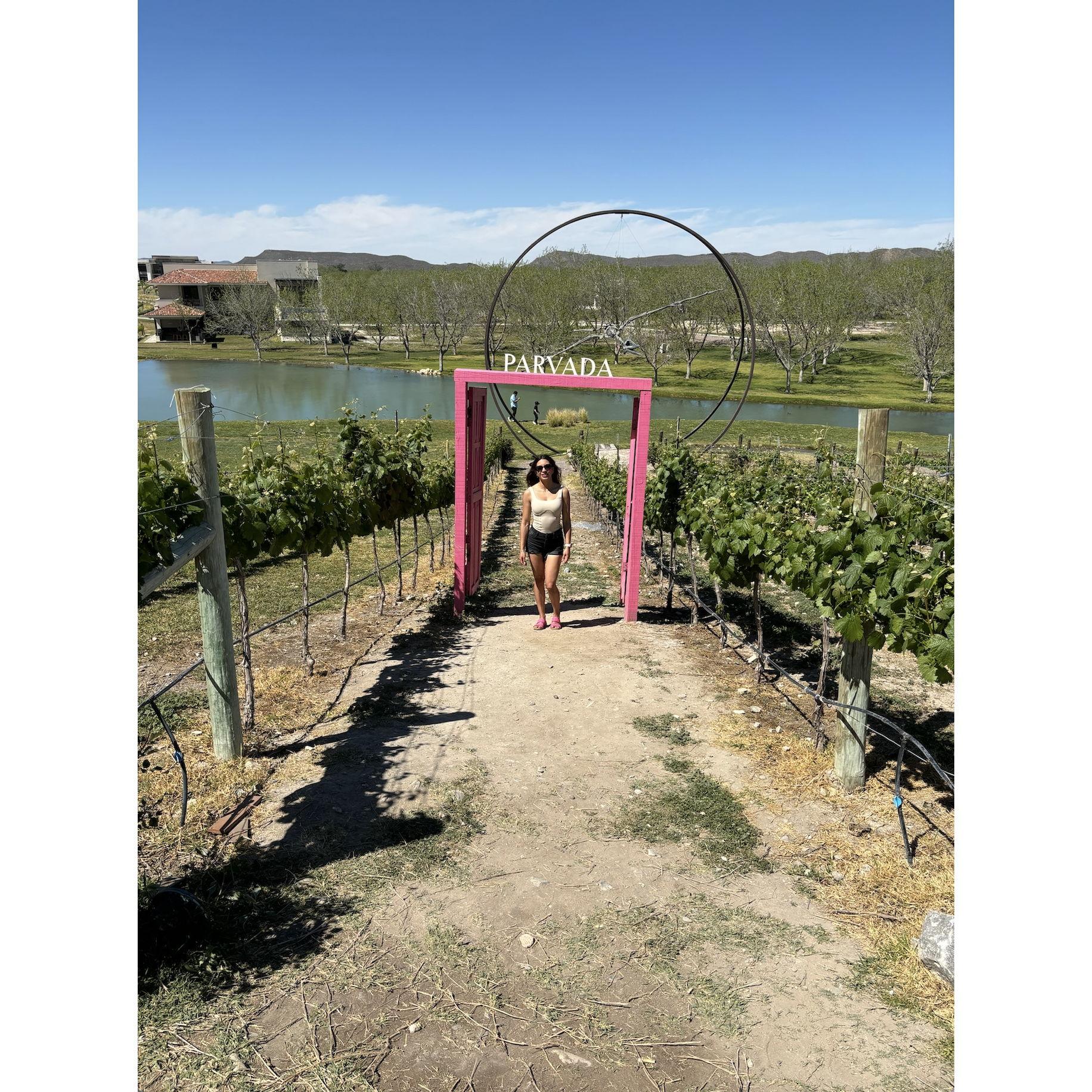 On our trip to Mexico, at Parvada winery.