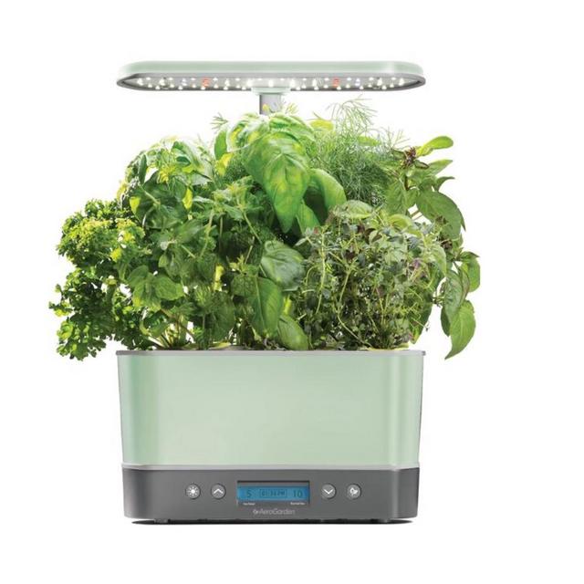 Harvest Elite Aquaponics Herb Garden - Sage