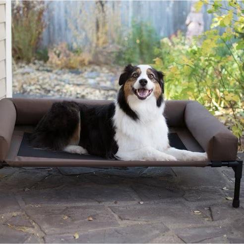K&H PET PRODUCTS Original Bolster Pet Cot Elevated Dog Bed, Chocolate, Medium - Chewy.com
