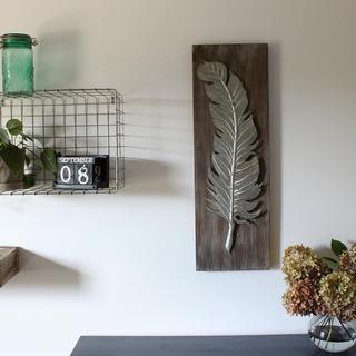 Feather Wall Art, Set of 2