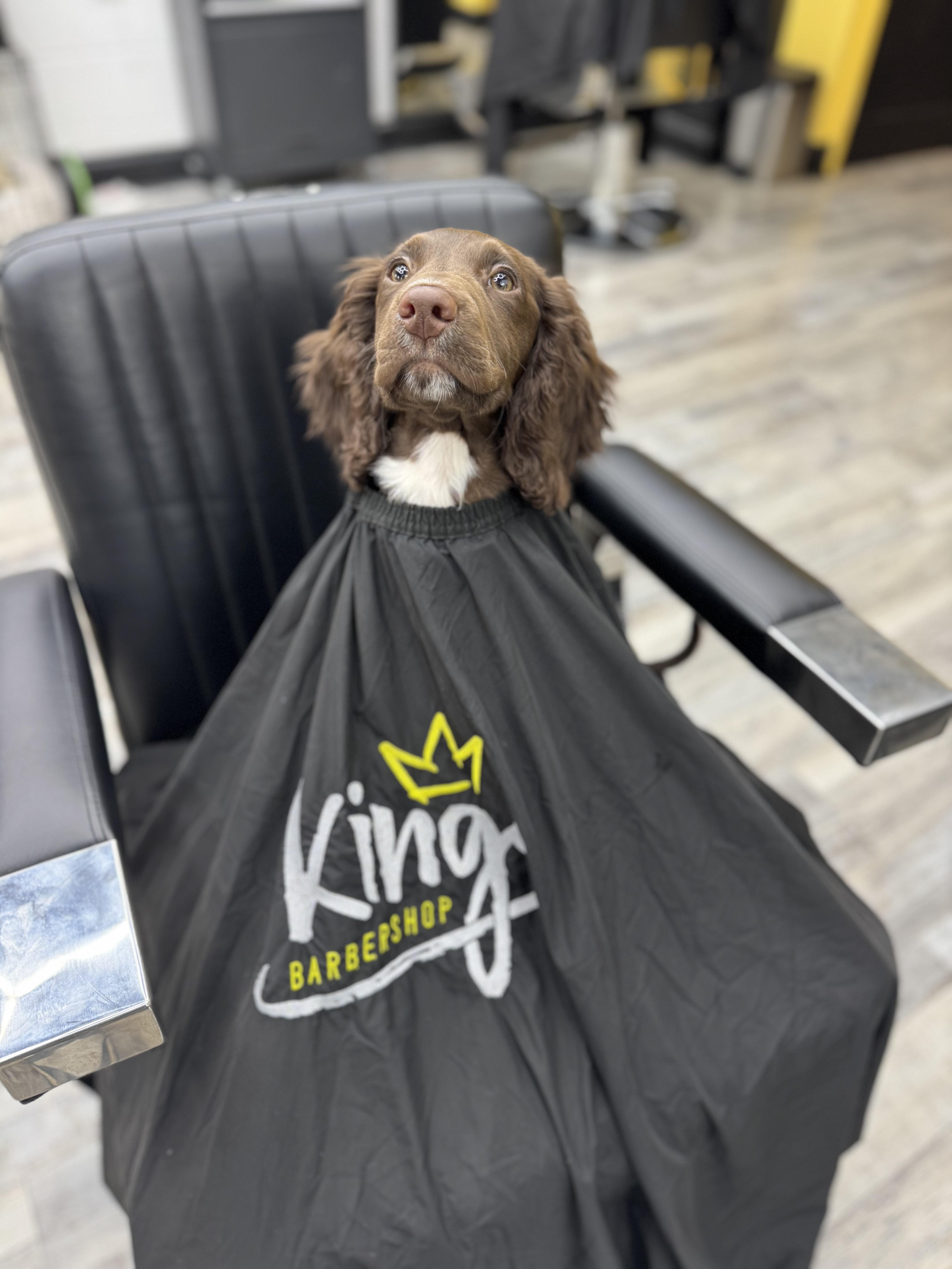 The Wedding Website of Lindsey Ballantyne and John McLaughlin