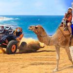 ATV Tour