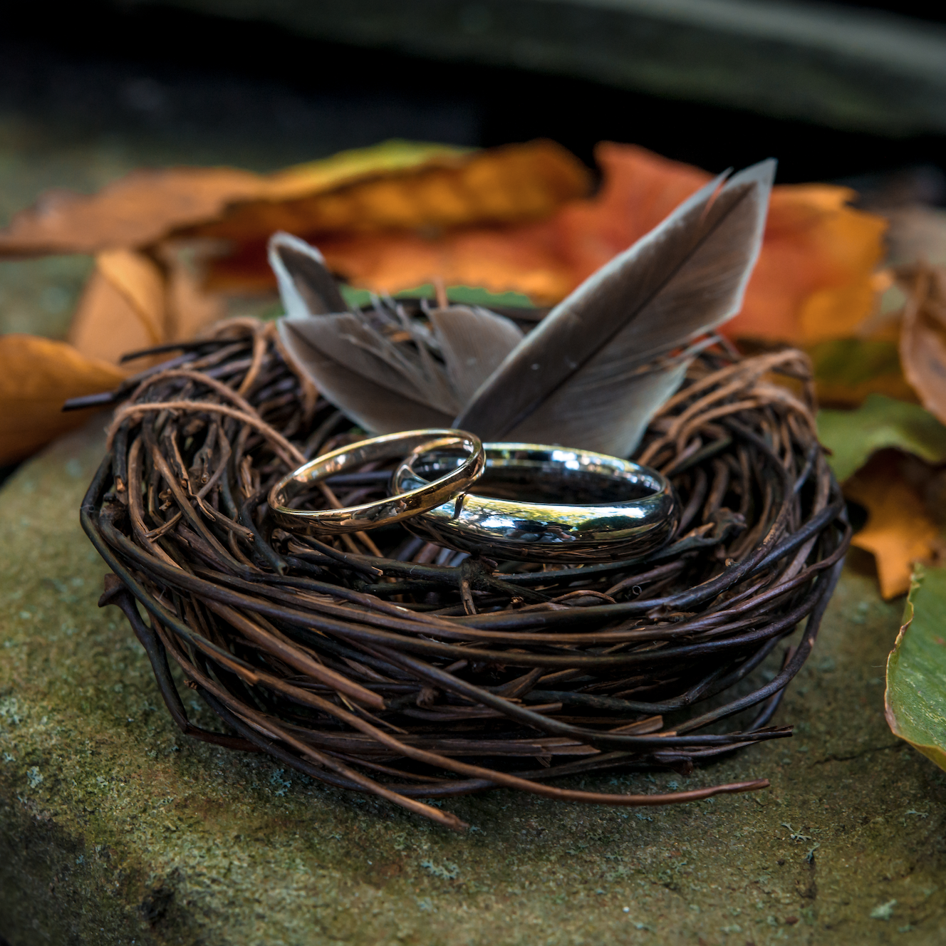 Our wedding bands