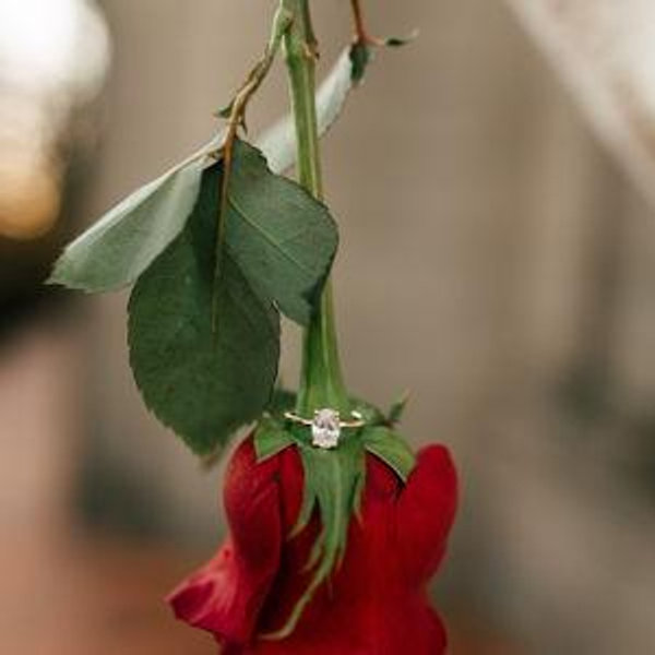 Wedding Fund