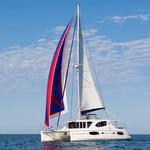 Boat Cruises and Tours