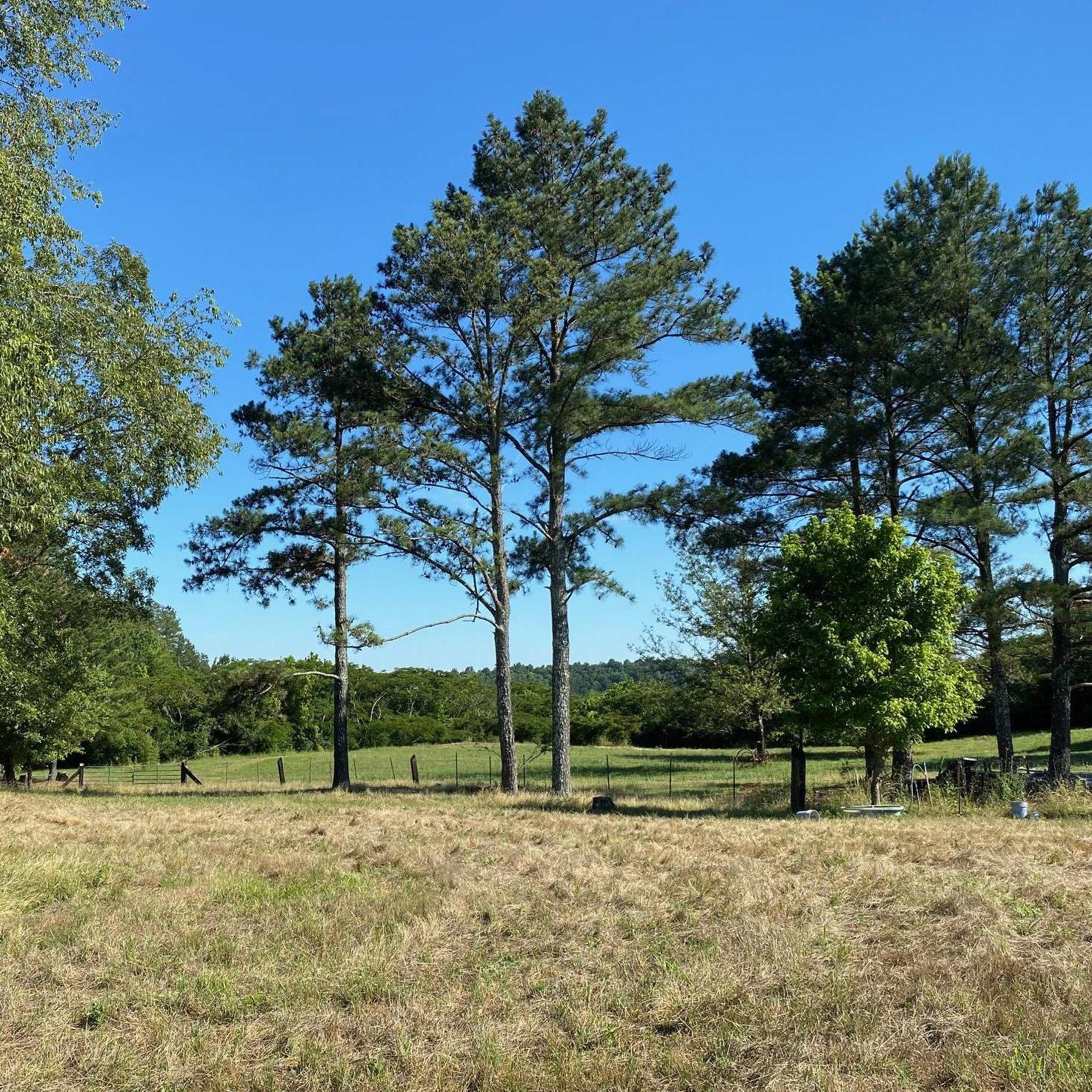 Our new property!