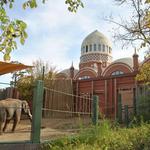 Cincinnati Zoo
