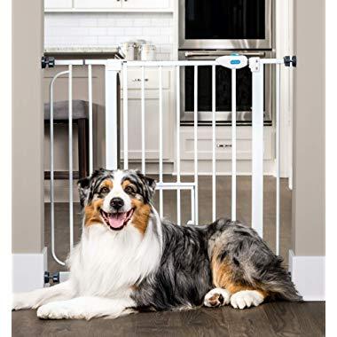 Carlson Extra Wide Walk Through Pet Gate with Small Pet Door, Includes 4-Inch Extension Kit, Pressure Mount Kit and Wall Mount Kit