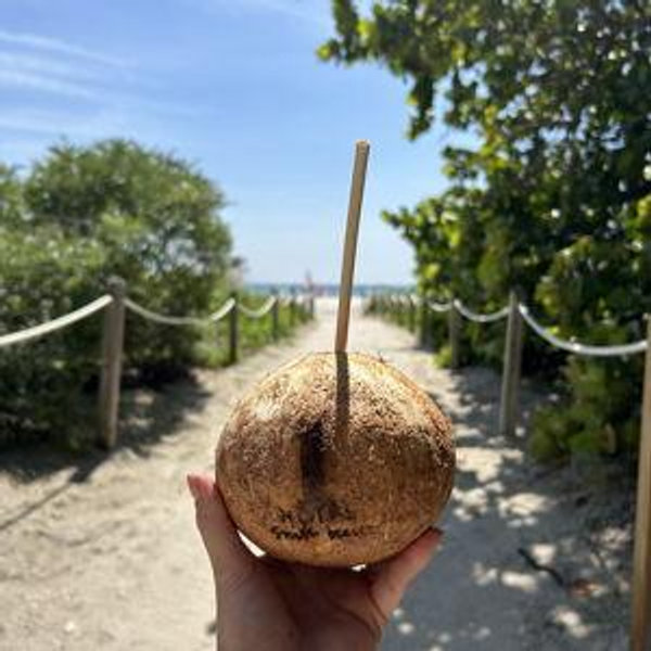 Honeymoon Fund