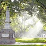 The Horseshoe