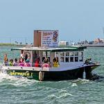 Baywatch Dolphin Tours