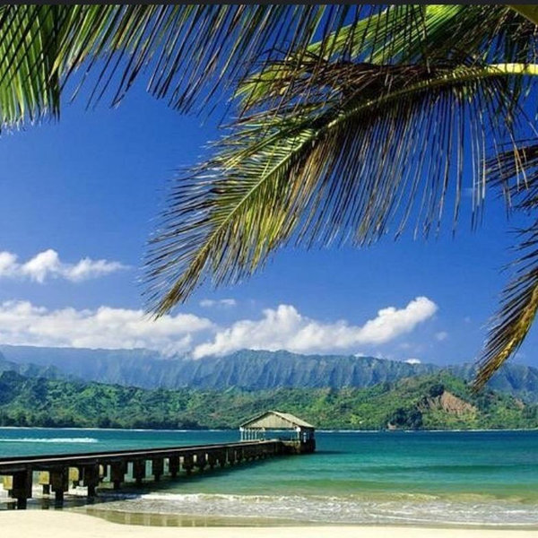Visit Hanalei Bay