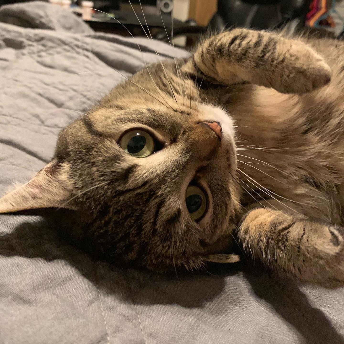 Ruth being cute.