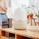 Cool Mist Humidifier