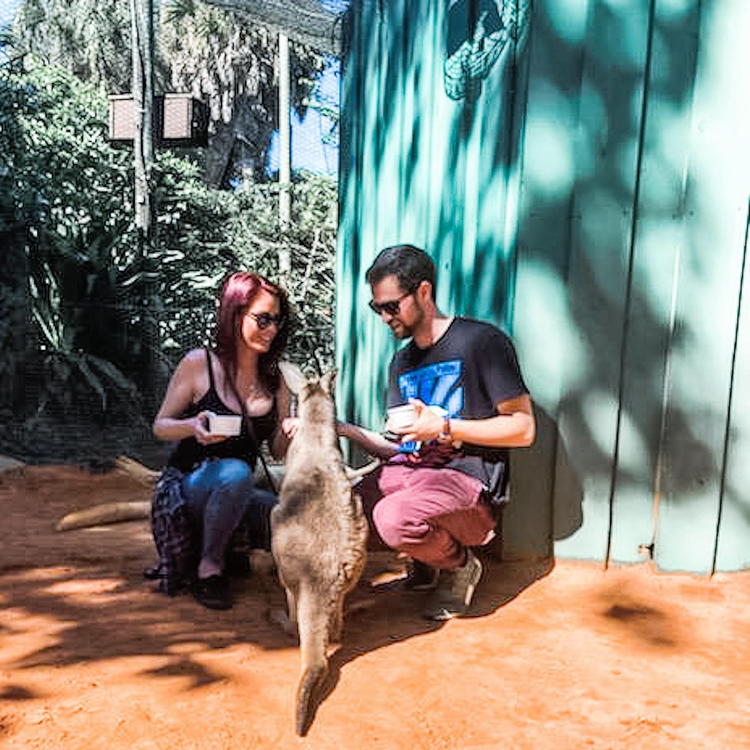 Second time he took me to Florida, Busch Gardens Tampa this time. Feeding baby Roo!